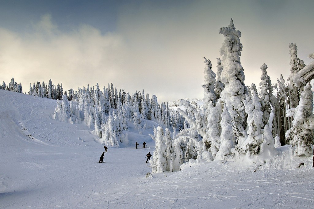 winter ski scene