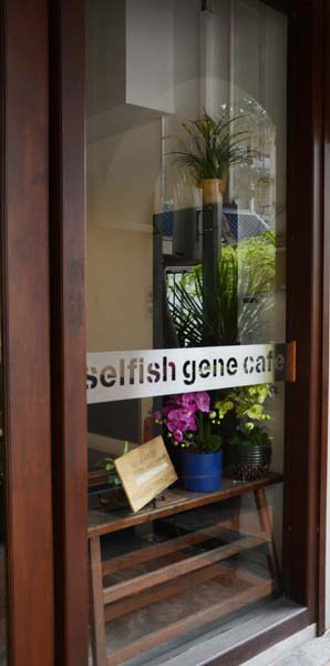 Window at Selfish Gene