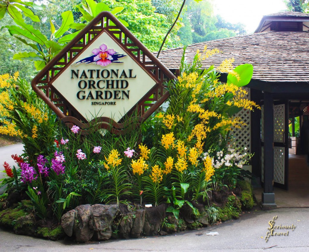 National Orchid Garden copy