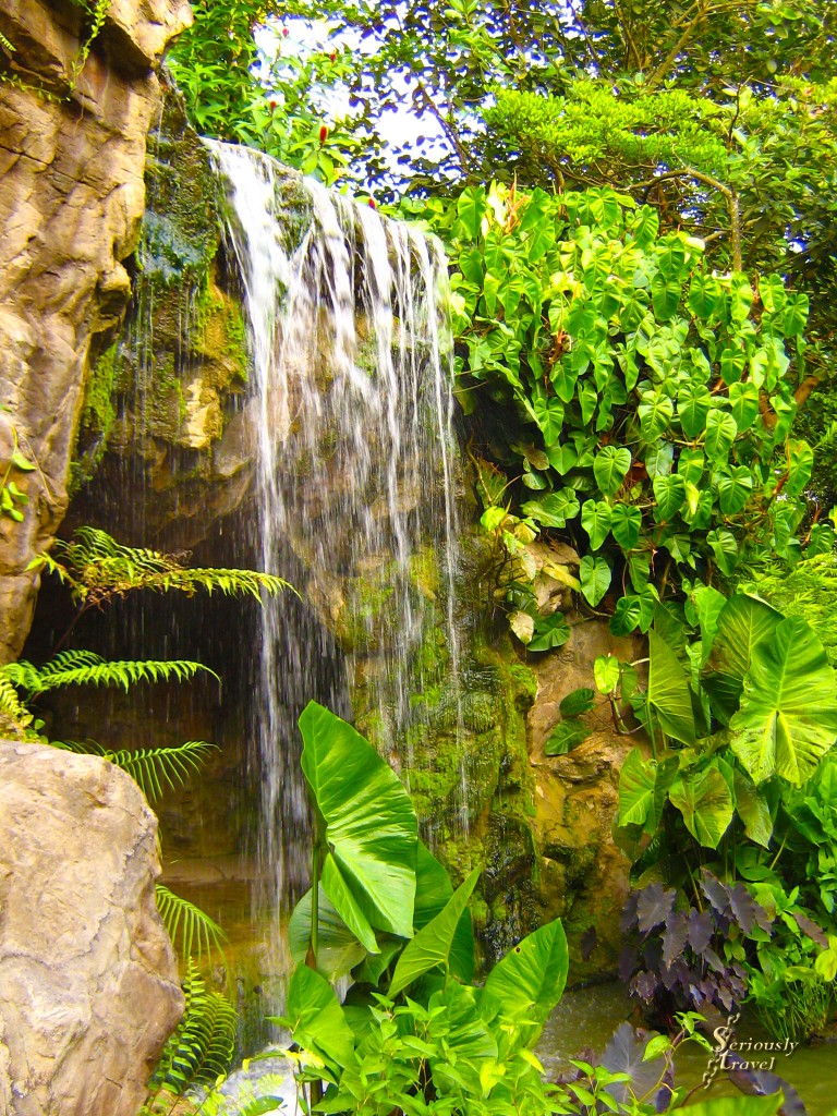 Singapore_Botanic_Gardens_waterfall copy