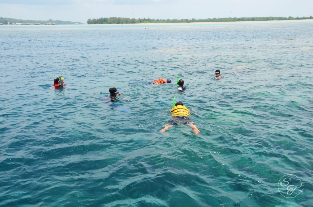 The waters of Karimunjawa attract scuba and snorkeling enthusiasts from all over the world