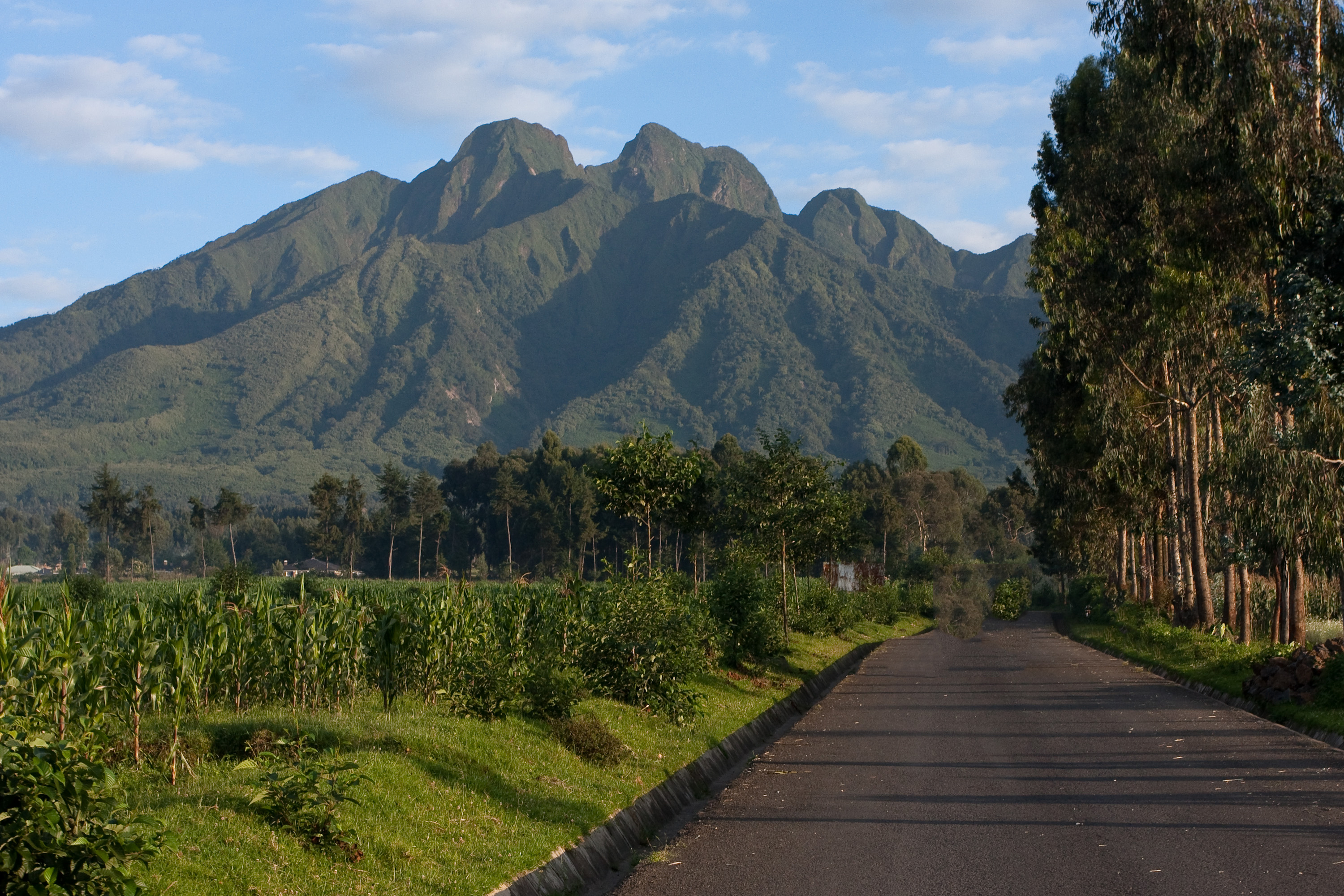 Adventure and Beauty with 1000 Shades of Green Tour and Safari Company – Rwanda