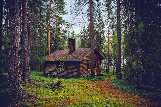 Four Things to Do on a Vacation in the Woods